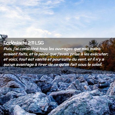 Picture 02 - Ecclésiaste 2:11 LSG - Puis, j'ai considéré tous les ouvrages que mes - Bible Verse Picture