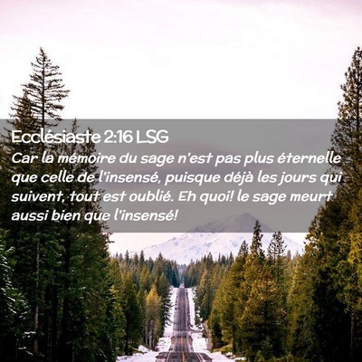 Picture 02 - Ecclésiaste 2:16 LSG - Car la mémoire du sage n'est pas plus éternelle - Bible Verse Picture