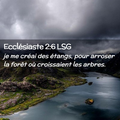 Picture 02 - Ecclésiaste 2:6 LSG - je me créai des étangs, pour arroser la forêt - Bible Verse Picture