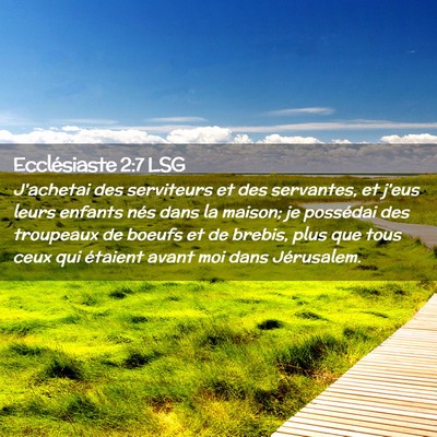 Picture 02 - Ecclésiaste 2:7 LSG - J'achetai des serviteurs et des servantes, et - Bible Verse Picture
