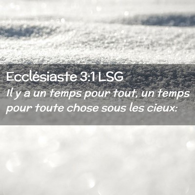 Picture 02 - Ecclésiaste 3:1 LSG - Il y a un temps pour tout, un temps pour toute - Bible Verse Picture