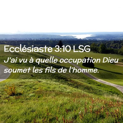 Picture 02 - Ecclésiaste 3:10 LSG - J'ai vu à quelle occupation Dieu soumet les fils - Bible Verse Picture
