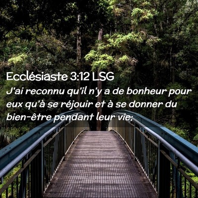 Picture 02 - Ecclésiaste 3:12 LSG - J'ai reconnu qu'il n'y a de bonheur pour eux - Bible Verse Picture