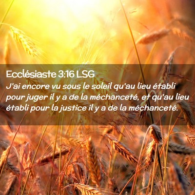 Picture 02 - Ecclésiaste 3:16 LSG - J'ai encore vu sous le soleil qu'au lieu établi - Bible Verse Picture