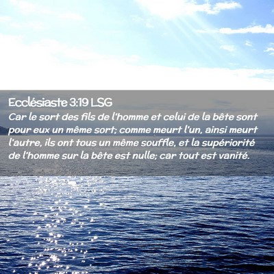 Picture 02 - Ecclésiaste 3:19 LSG - Car le sort des fils de l'homme et celui de la - Bible Verse Picture