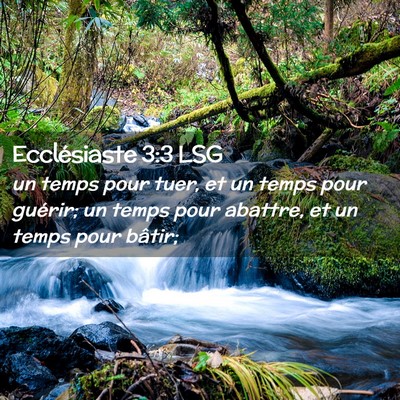 Picture 02 - Ecclésiaste 3:3 LSG - un temps pour tuer, et un temps pour guérir; un - Bible Verse Picture