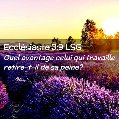 Picture 02 - Ecclésiaste 3:9 LSG - Quel avantage celui qui travaille retire-t-il de - Bible Verse Picture