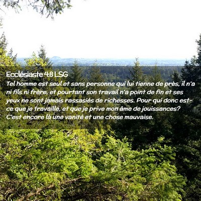Picture 02 - Ecclésiaste 4:8 LSG - Tel homme est seul et sans personne qui lui - Bible Verse Picture