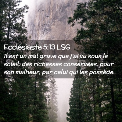 Picture 02 - Ecclésiaste 5:13 LSG - Il est un mal grave que j'ai vu sous le soleil: - Bible Verse Picture