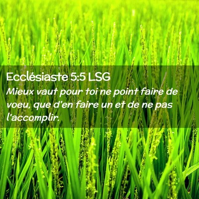 Picture 02 - Ecclésiaste 5:5 LSG - Mieux vaut pour toi ne point faire de voeu, que - Bible Verse Picture