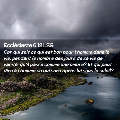 Picture 02 - Ecclésiaste 6:12 LSG - Car qui sait ce qui est bon pour l'homme dans la - Bible Verse Picture
