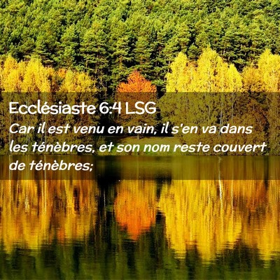 Picture 02 - Ecclésiaste 6:4 LSG - Car il est venu en vain, il s'en va dans les - Bible Verse Picture
