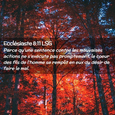 Picture 02 - Ecclésiaste 8:11 LSG - Parce qu'une sentence contre les mauvaises - Bible Verse Picture