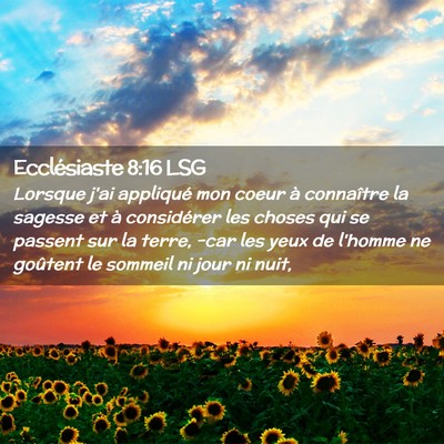 Picture 02 - Ecclésiaste 8:16 LSG - Lorsque j'ai appliqué mon coeur à connaître la - Bible Verse Picture