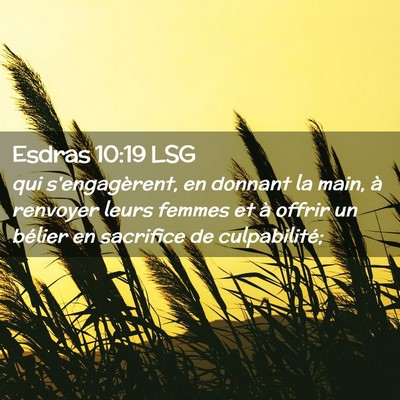 Picture 02 - Esdras 10:19 LSG - qui s'engagèrent, en donnant la main, à - Bible Verse Picture