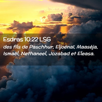 Picture 02 - Esdras 10:22 LSG - des fils de Paschhur, Eljoénaï, Maaséja, - Bible Verse Picture
