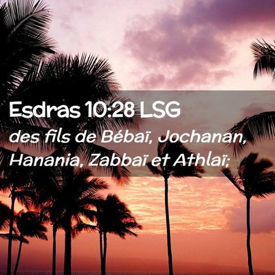 Picture 02 - Esdras 10:28 LSG - des fils de Bébaï, Jochanan, Hanania, Zabbaï - Bible Verse Picture