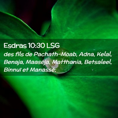 Picture 02 - Esdras 10:30 LSG - des fils de Pachath-Moab, Adna, Kelal, Benaja, - Bible Verse Picture
