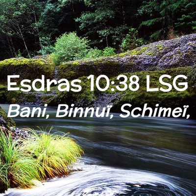 Picture 02 - Esdras 10:38 LSG - Bani, Binnuï, - Bible Verse Picture