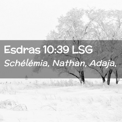 Picture 02 - Esdras 10:39 LSG - Schélémia, Nathan, - Bible Verse Picture