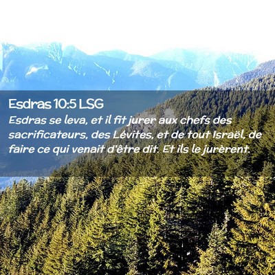 Picture 02 - Esdras 10:5 LSG - Esdras se leva, et il fit jurer aux chefs des - Bible Verse Picture