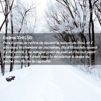 Picture 02 - Esdras 10:6 LSG - Puis Esdras se retira de devant la maison de - Bible Verse Picture