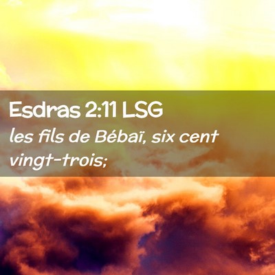 Picture 02 - Esdras 2:11 LSG - les fils de Bébaï, six cent - Bible Verse Picture