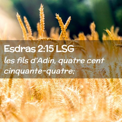 Picture 02 - Esdras 2:15 LSG - les fils d'Adin, quatre cent - Bible Verse Picture