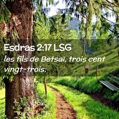 Picture 02 - Esdras 2:17 LSG - les fils de Betsaï, trois cent - Bible Verse Picture