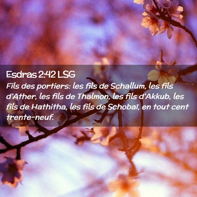 Picture 02 - Esdras 2:42 LSG - Fils des portiers: les fils de Schallum, les fils - Bible Verse Picture