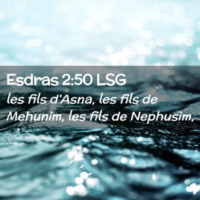 Picture 02 - Esdras 2:50 LSG - les fils d'Asna, les fils de Mehunim, les fils de - Bible Verse Picture