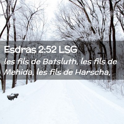 Picture 02 - Esdras 2:52 LSG - les fils de Batsluth, les fils de Mehida, les - Bible Verse Picture