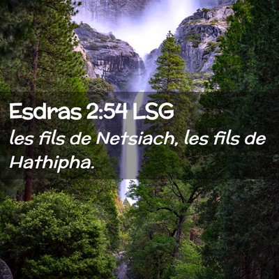 Picture 02 - Esdras 2:54 LSG - les fils de Netsiach, les fils de - Bible Verse Picture