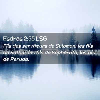 Picture 02 - Esdras 2:55 LSG - Fils des serviteurs de Salomon: les fils de - Bible Verse Picture