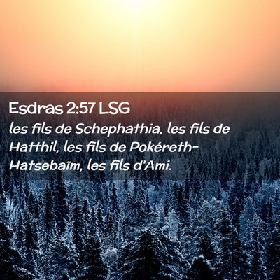 Picture 02 - Esdras 2:57 LSG - les fils de Schephathia, les fils de Hatthil, les - Bible Verse Picture