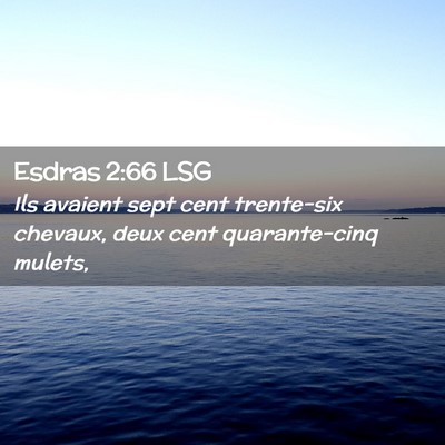 Picture 02 - Esdras 2:66 LSG - Ils avaient sept cent trente-six chevaux, deux - Bible Verse Picture
