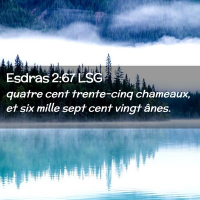 Picture 02 - Esdras 2:67 LSG - quatre cent trente-cinq chameaux, et six mille - Bible Verse Picture