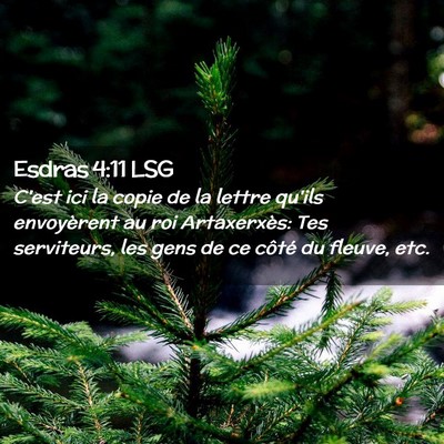 Picture 02 - Esdras 4:11 LSG - C'est ici la copie de la lettre qu'ils - Bible Verse Picture