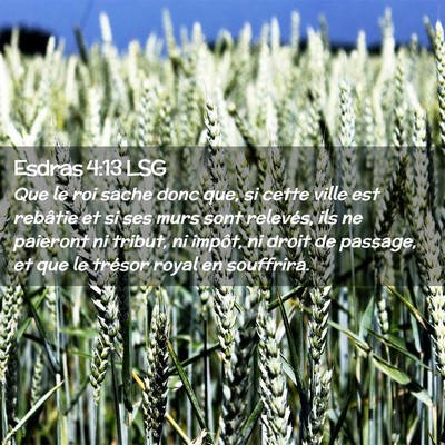 Picture 02 - Esdras 4:13 LSG - Que le roi sache donc que, si cette ville est - Bible Verse Picture