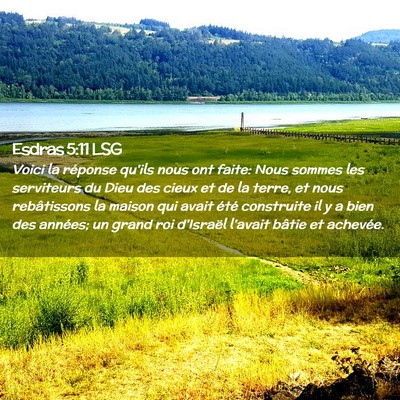 Picture 02 - Esdras 5:11 LSG - Voici la réponse qu'ils nous ont faite: Nous - Bible Verse Picture