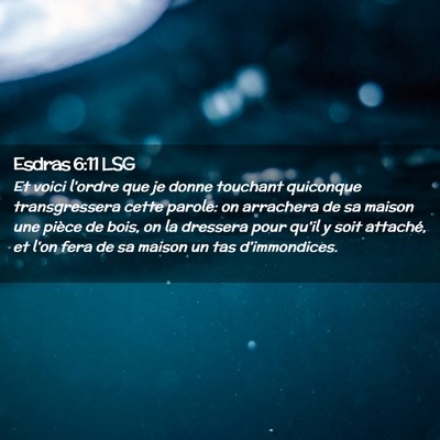 Picture 02 - Esdras 6:11 LSG - Et voici l'ordre que je donne touchant quiconque - Bible Verse Picture