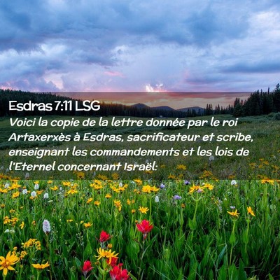 Picture 02 - Esdras 7:11 LSG - Voici la copie de la lettre donnée par le roi - Bible Verse Picture