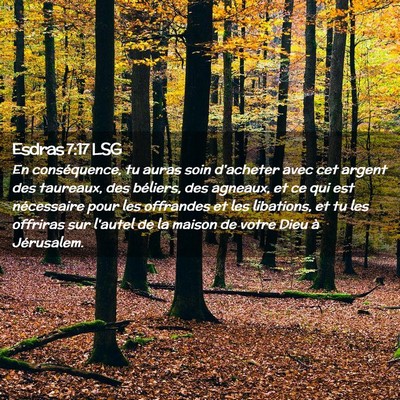 Picture 02 - Esdras 7:17 LSG - En conséquence, tu auras soin d'acheter avec cet - Bible Verse Picture
