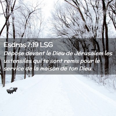 Picture 02 - Esdras 7:19 LSG - Dépose devant le Dieu de Jérusalem les - Bible Verse Picture