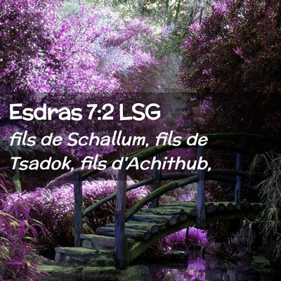 Picture 02 - Esdras 7:2 LSG - fils de Schallum, fils de Tsadok, fils - Bible Verse Picture