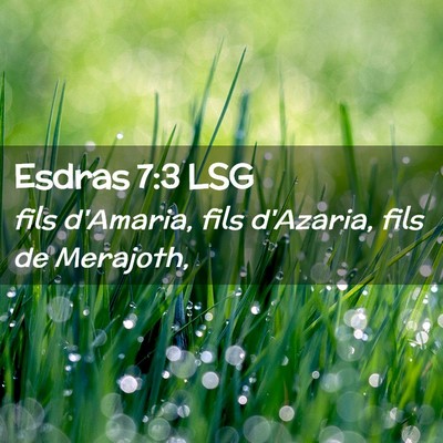 Picture 02 - Esdras 7:3 LSG - fils d'Amaria, fils d'Azaria, fils de - Bible Verse Picture