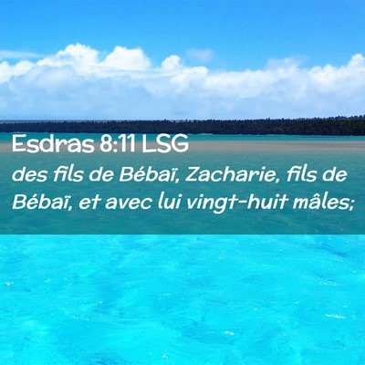 Picture 02 - Esdras 8:11 LSG - des fils de Bébaï, Zacharie, fils de Bébaï, - Bible Verse Picture