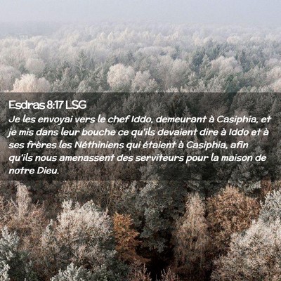 Picture 02 - Esdras 8:17 LSG - Je les envoyai vers le chef Iddo, demeurant à - Bible Verse Picture