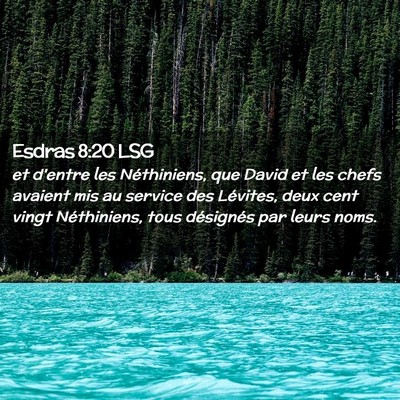 Picture 02 - Esdras 8:20 LSG - et d'entre les Néthiniens, que David et les - Bible Verse Picture