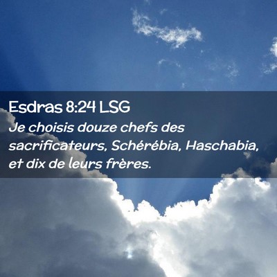 Picture 02 - Esdras 8:24 LSG - Je choisis douze chefs des sacrificateurs, - Bible Verse Picture